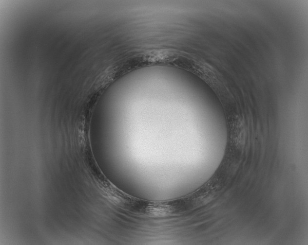 X0000062620510200601041009