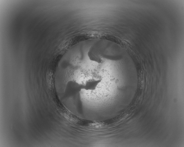 X0000062620511200601041008