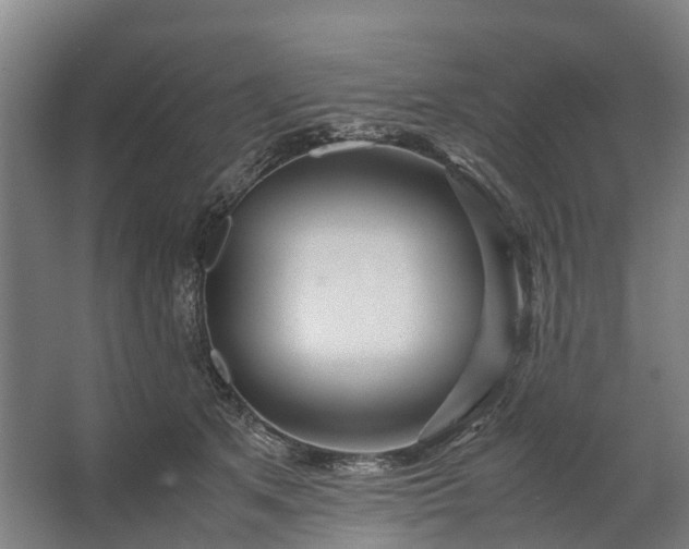 X0000062620513200601041008