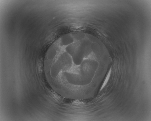 X0000062620515200601041008