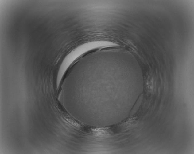 X0000062620516200601041008