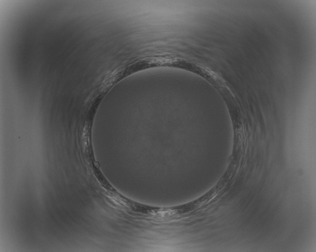 X0000062620517200601041008