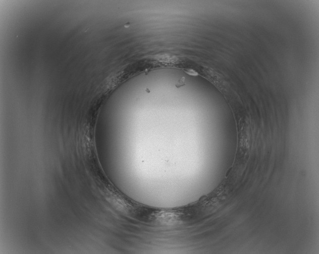 X0000062620518200601041008