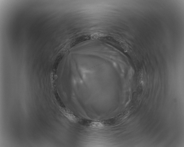 X0000062620519200601041008