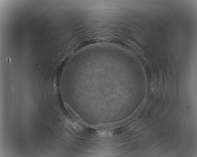 X0000062620520200601041008