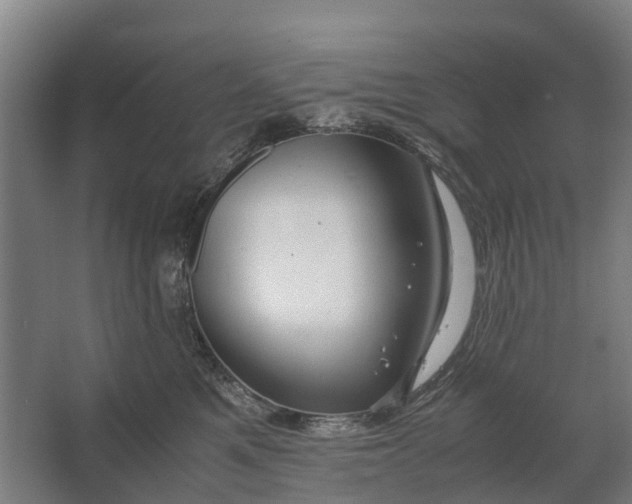 X0000062620521200601041008