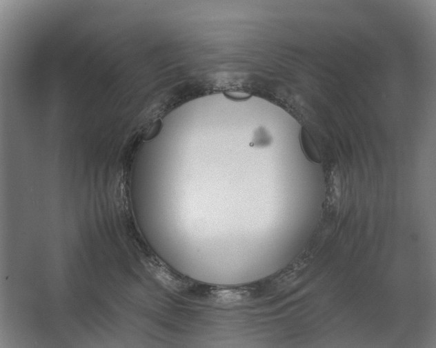 X0000062620522200601041008