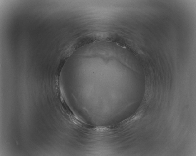 X0000062620528200601041008