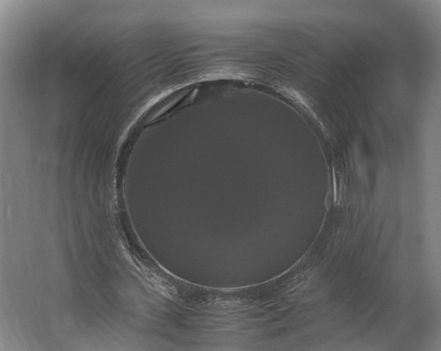 X0000062620531200601041007