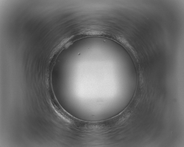 X0000062620533200601041007