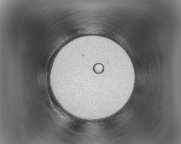 X0000062620534200601041007