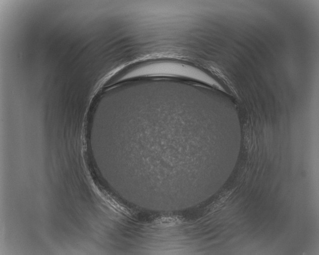 X0000062620536200601041008