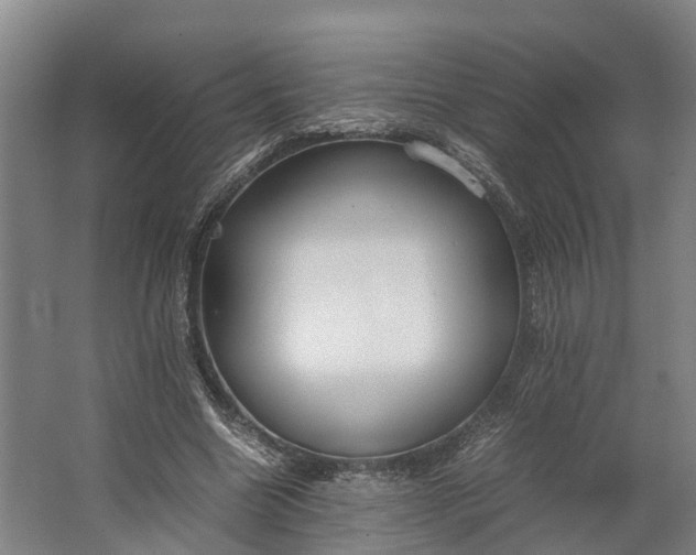 X0000062620538200601041008