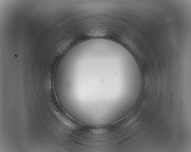 X0000062620541200601041008