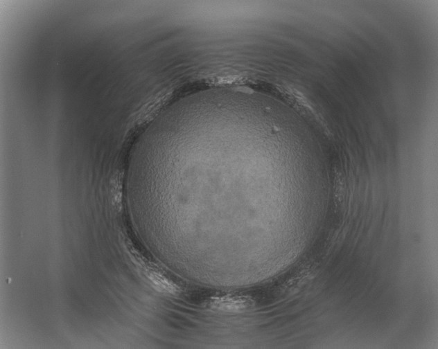 X0000062620545200601041008