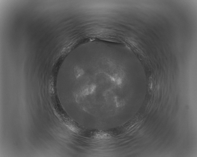 X0000062620547200601041008