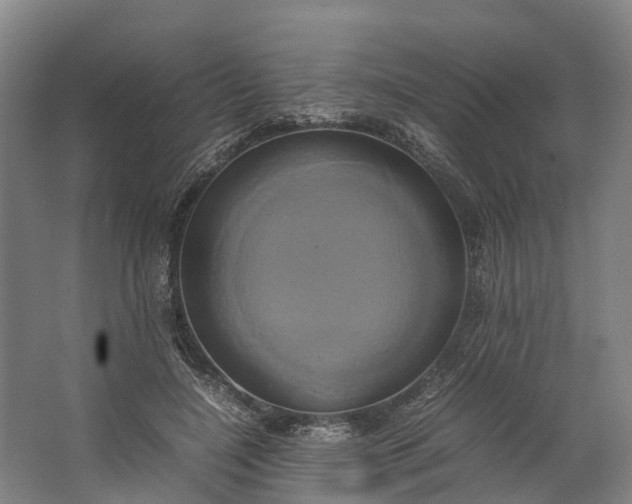 X0000062620548200601041008