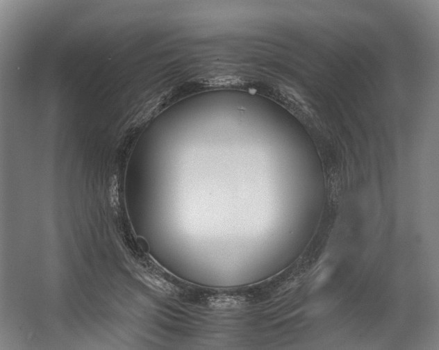 X0000062620549200601041008