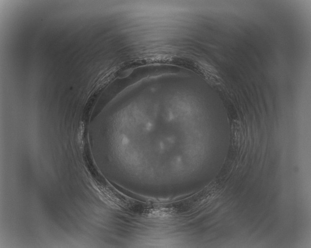 X0000062620550200601041008