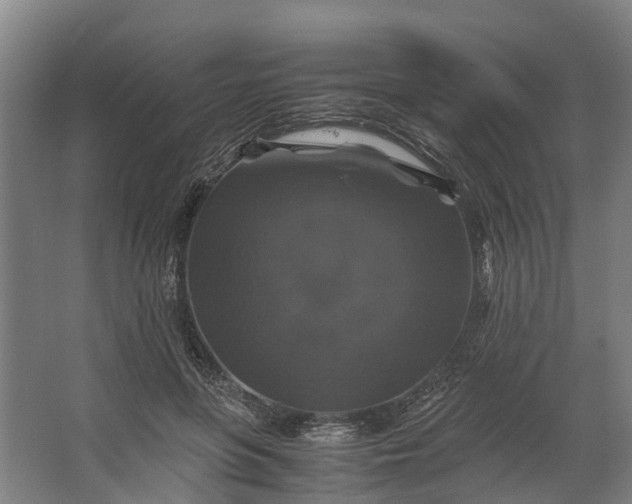 X0000062620551200601041008