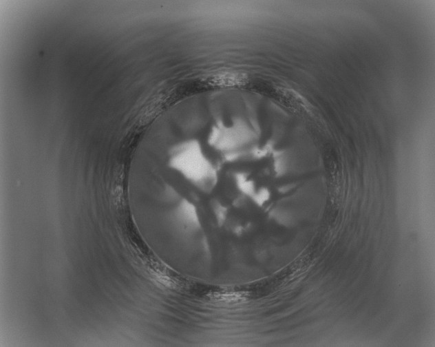 X0000062620553200601041008