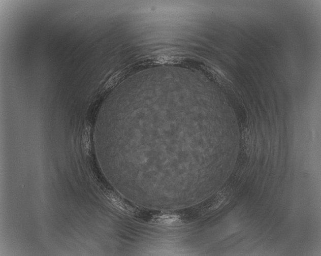 X0000062620554200601041008