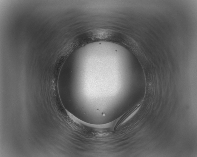 X0000062620555200601041008