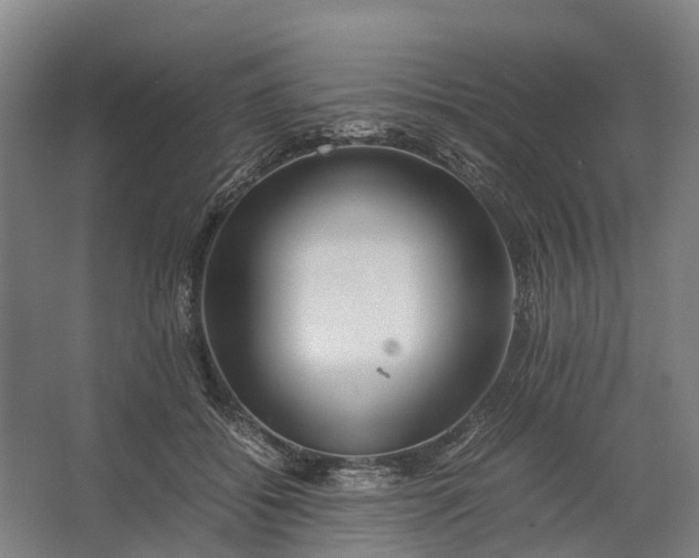 X0000062620556200601041008