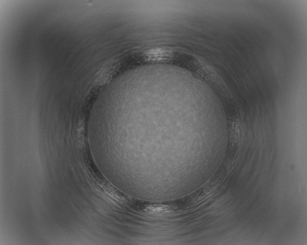 X0000062620557200601041008