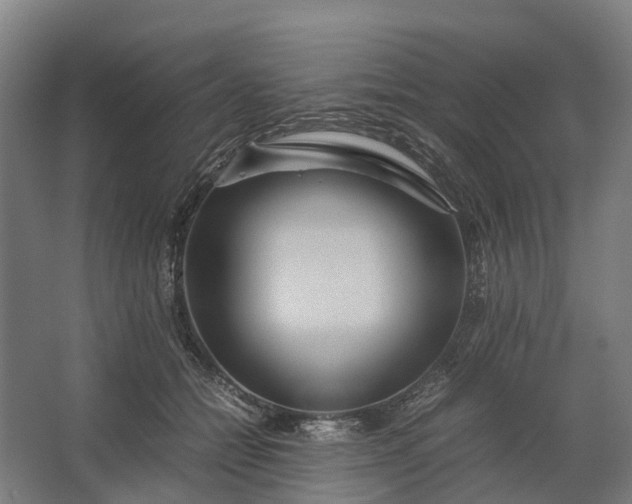 X0000062620558200601041008