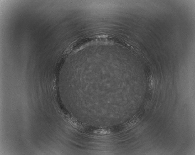 X0000062620559200601041008