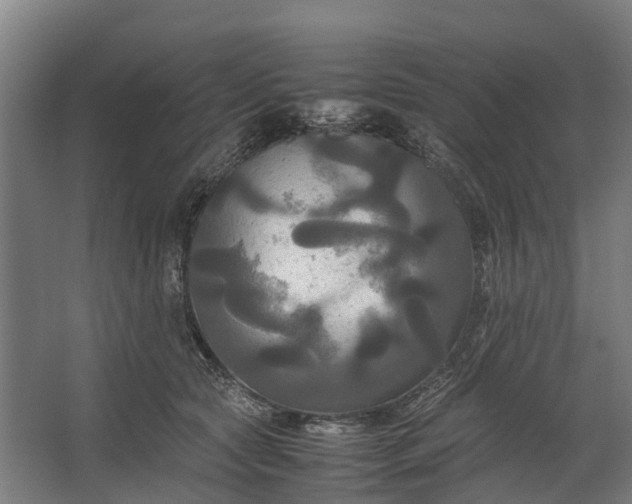 X0000062620561200601041008