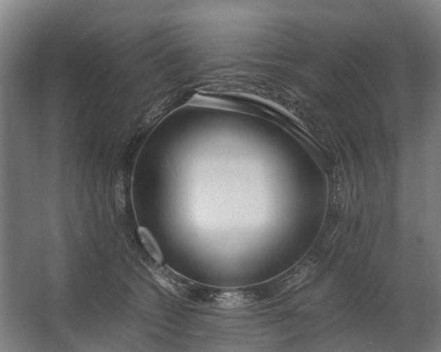 X0000062620562200601041008