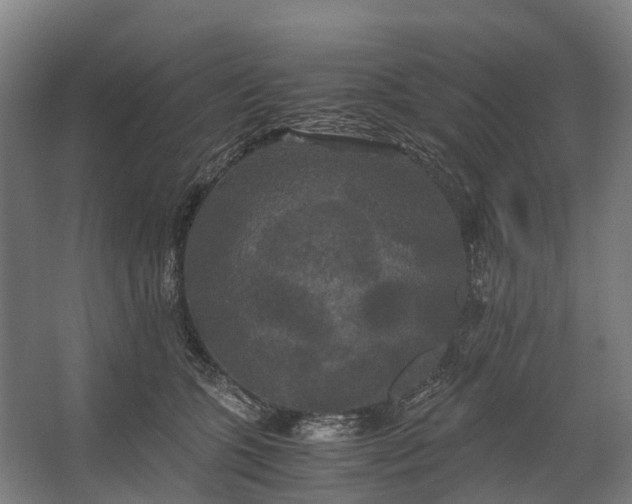 X0000062620563200601041008