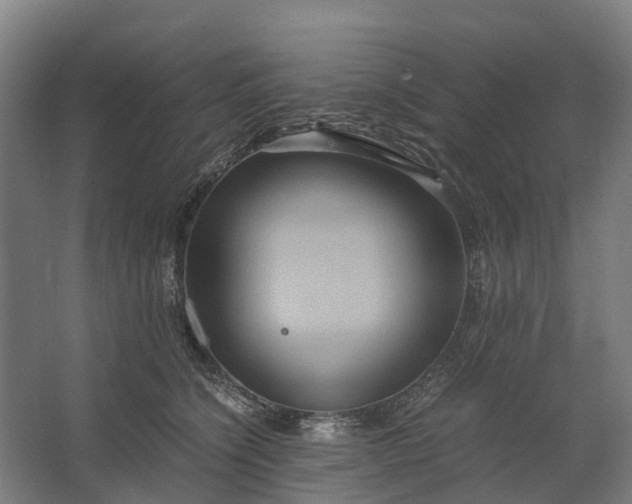 X0000062620564200601041008