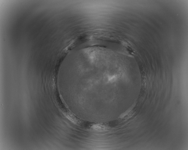 X0000062620568200601041008