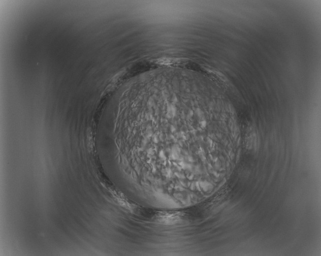 X0000062620569200601041008