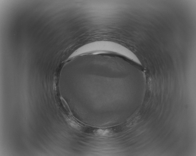 X0000062620570200601041008