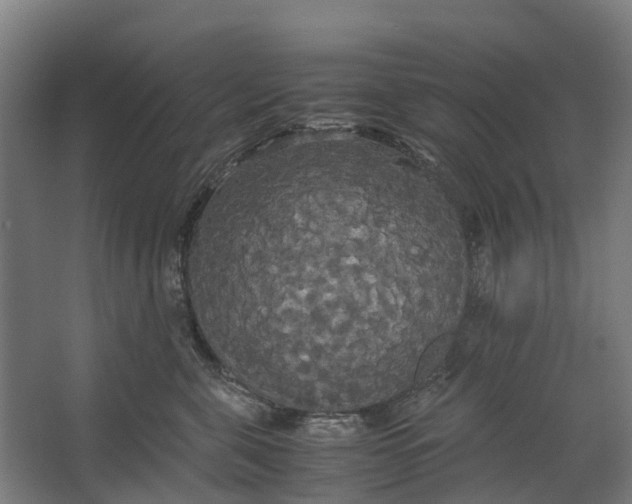 X0000062620571200601041008