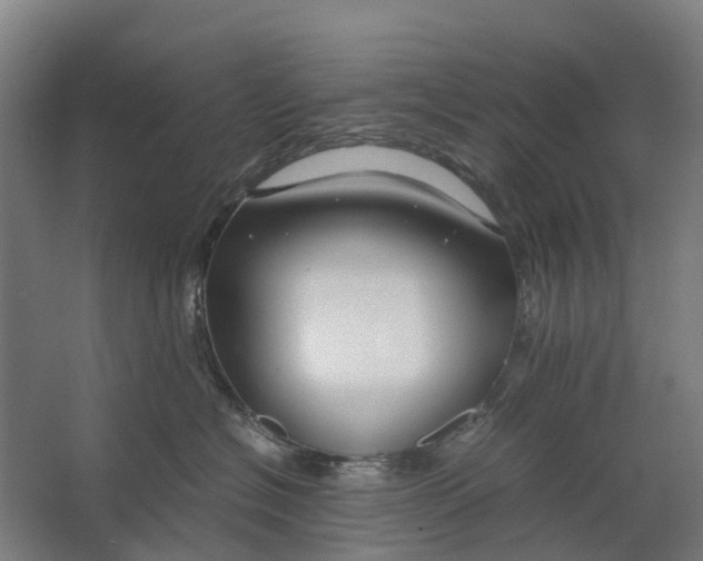 X0000062620574200601041008