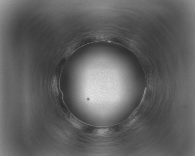 X0000062620575200601041008