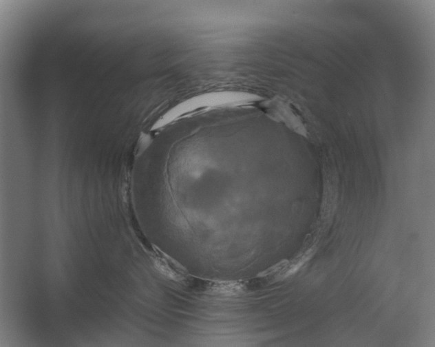 X0000062620576200601041008