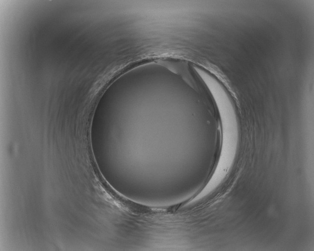 X0000062620577200601041007