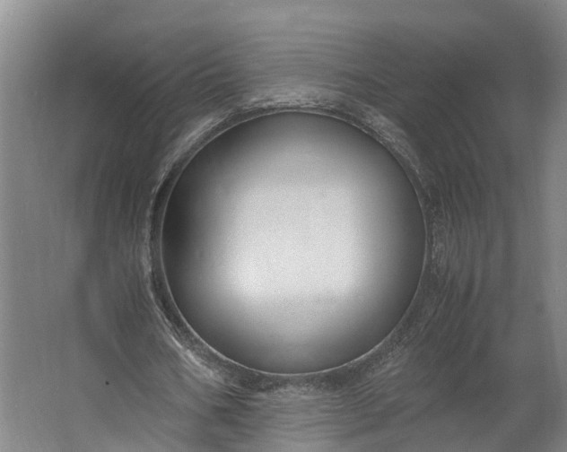 X0000062620578200601041007