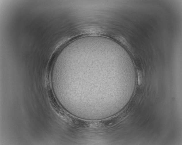 X0000062620579200601041007