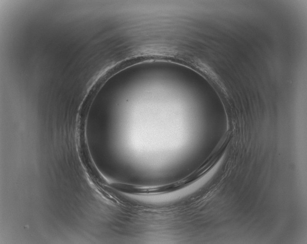 X0000062620580200601041007