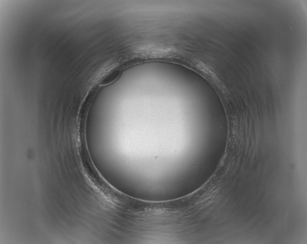 X0000062620582200601041007