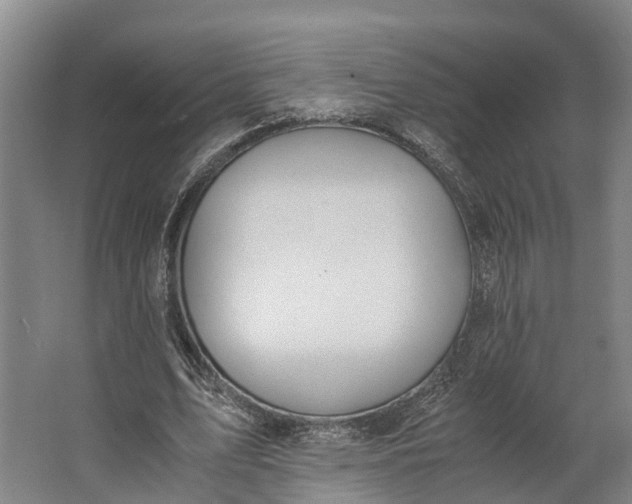 X0000062620583200601041007