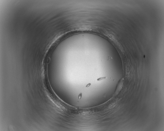 X0000062620584200601041007