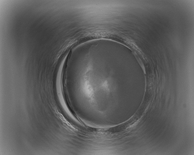 X0000062620585200601041007